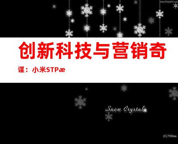 创新科技与营销奇谋：小米STP战略剖析
